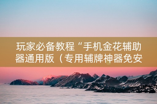 玩家必备教程“手机金花辅助器通用版（专用辅牌神器免安装）