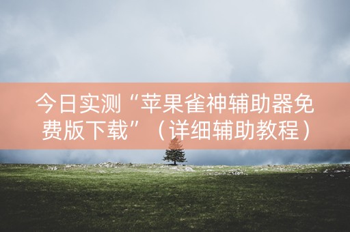 今日实测“苹果雀神辅助器免费版下载”（详细辅助教程）-哔哩哔哩
