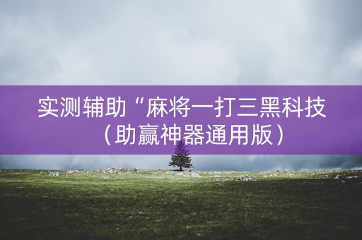实测辅助“麻将一打三黑科技（助赢神器通用版）