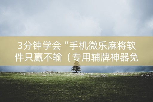 3分钟学会“手机微乐麻将软件只赢不输（专用辅牌神器免安装）