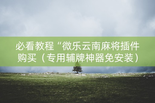 必看教程“微乐云南麻将插件购买（专用辅牌神器免安装）