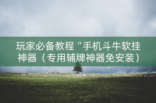 玩家必备教程“手机斗牛软挂神器（专用辅牌神器免安装）