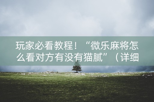 玩家必看教程！“微乐麻将怎么看对方有没有猫腻”（详细透视教程）-哔哩哔哩