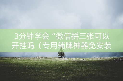 3分钟学会“微信拼三张可以开挂吗（专用辅牌神器免安装）