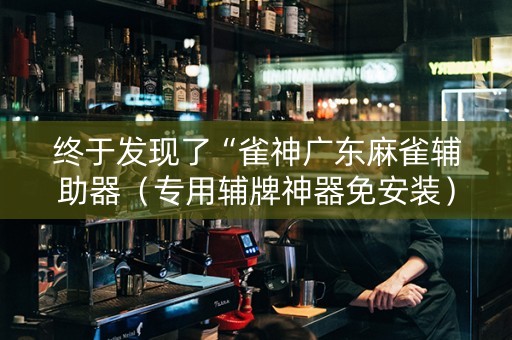 终于发现了“雀神广东麻雀辅助器（专用辅牌神器免安装）