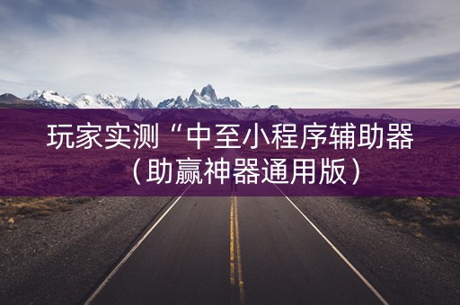 玩家实测“中至小程序辅助器（助赢神器通用版）