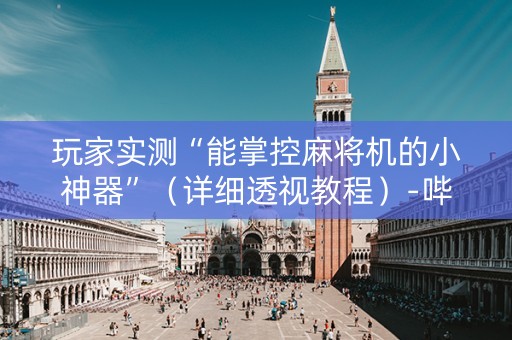 玩家实测“能掌控麻将机的小神器”（详细透视教程）-哔哩哔哩