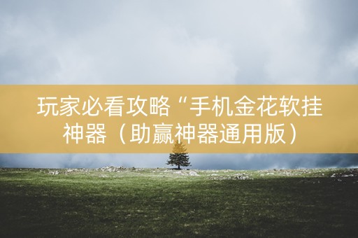 玩家必看攻略“手机金花软挂神器（助赢神器通用版）