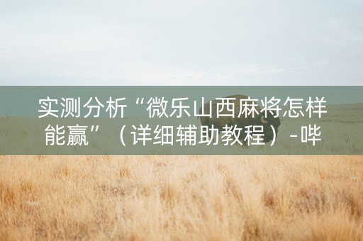 实测分析“微乐山西麻将怎样能赢”（详细辅助教程）-哔哩哔哩