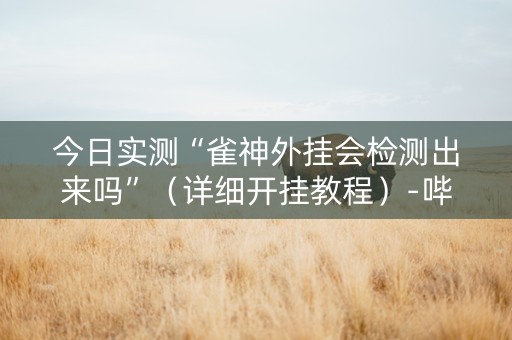今日实测“雀神外挂会检测出来吗”（详细开挂教程）-哔哩哔哩