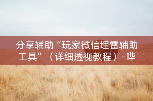分享辅助“玩家微信埋雷辅助工具”（详细透视教程）-哔哩哔哩