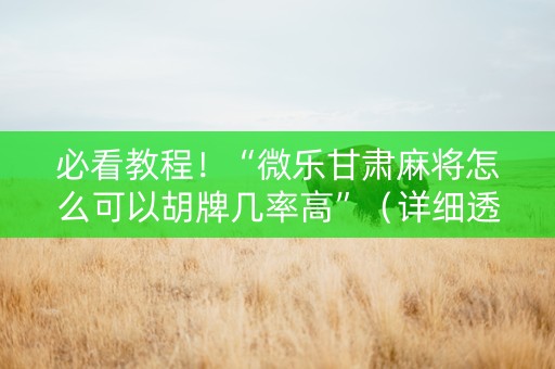 必看教程！“微乐甘肃麻将怎么可以胡牌几率高”（详细透视教程）-哔哩哔哩