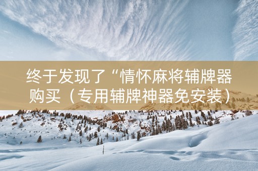 终于发现了“情怀麻将辅牌器购买（专用辅牌神器免安装）