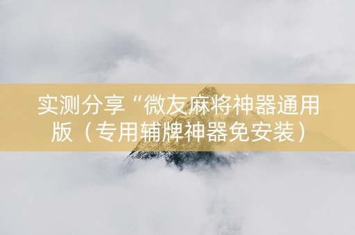 实测分享“微友麻将神器通用版（专用辅牌神器免安装）