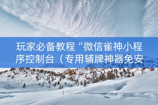 玩家必备教程“微信雀神小程序控制台（专用辅牌神器免安装）