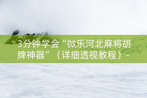 3分钟学会“微乐河北麻将胡牌神器”（详细透视教程）-哔哩哔哩