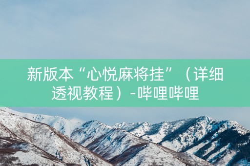 新版本“心悦麻将挂”（详细透视教程）-哔哩哔哩