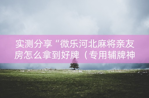 实测分享“微乐河北麻将亲友房怎么拿到好牌（专用辅牌神器免安装）