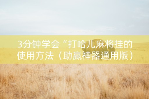 3分钟学会“打哈儿麻将挂的使用方法（助赢神器通用版）