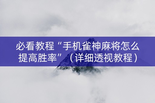 必看教程“手机雀神麻将怎么提高胜率”（详细透视教程）-哔哩哔哩