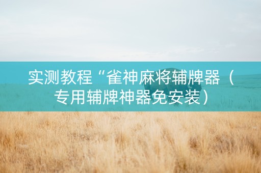 实测教程“雀神麻将辅牌器（专用辅牌神器免安装）