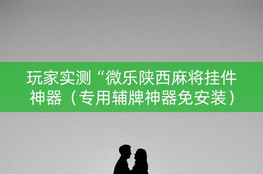 玩家实测“微乐陕西麻将挂件神器（专用辅牌神器免安装）