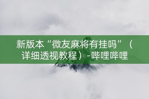 新版本“微友麻将有挂吗”（详细透视教程）-哔哩哔哩
