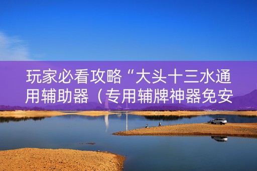 玩家必看攻略“大头十三水通用辅助器（专用辅牌神器免安装）