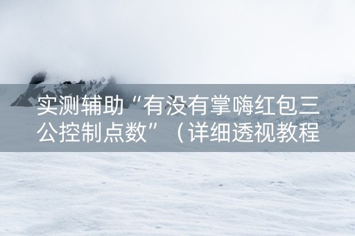 实测辅助“有没有掌嗨红包三公控制点数”（详细透视教程）-哔哩哔哩