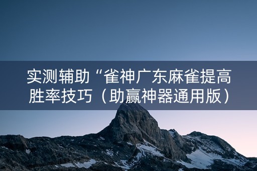 实测辅助“雀神广东麻雀提高胜率技巧（助赢神器通用版）