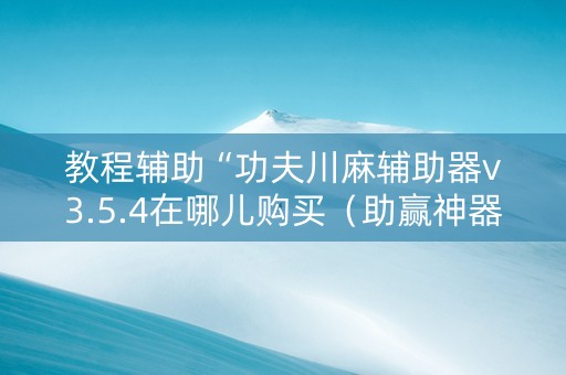 教程辅助“功夫川麻辅助器v3.5.4在哪儿购买（助赢神器通用版）