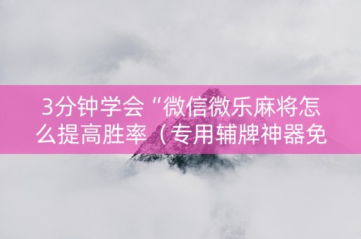 3分钟学会“微信微乐麻将怎么提高胜率（专用辅牌神器免安装）