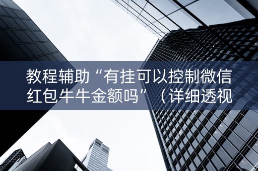 教程辅助“有挂可以控制微信红包牛牛金额吗”（详细透视教程）-哔哩哔哩