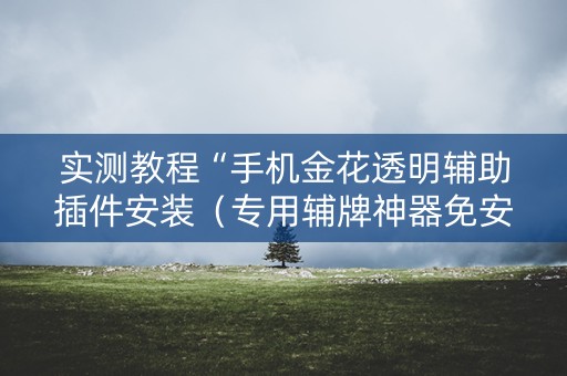 实测教程“手机金花透明辅助插件安装（专用辅牌神器免安装）