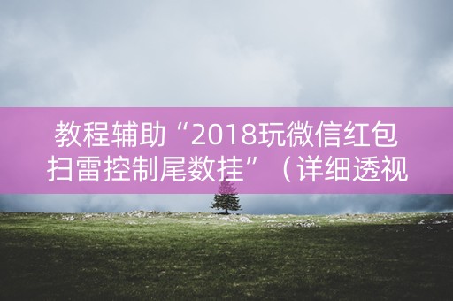教程辅助“2018玩微信红包扫雷控制尾数挂”（详细透视教程）-哔哩哔哩
