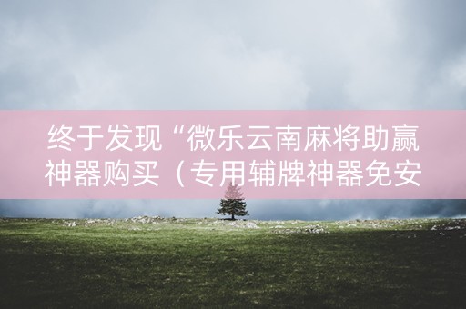 终于发现“微乐云南麻将助赢神器购买（专用辅牌神器免安装）