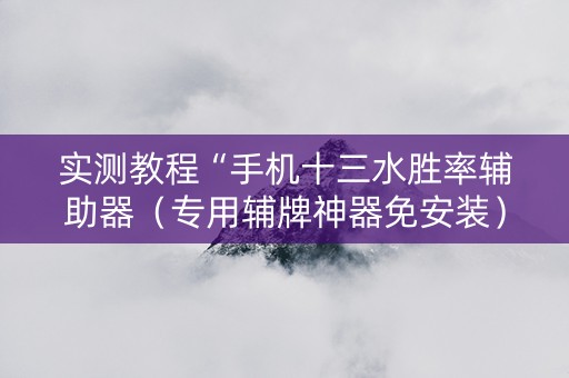 实测教程“手机十三水胜率辅助器（专用辅牌神器免安装）