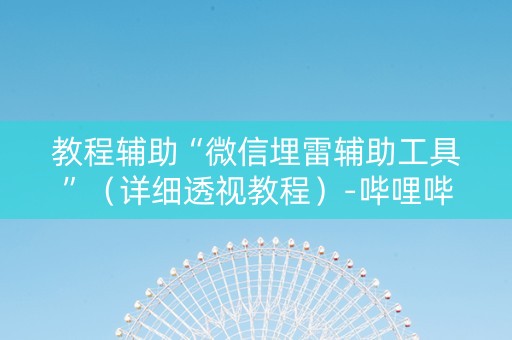 教程辅助“微信埋雷辅助工具”（详细透视教程）-哔哩哔哩