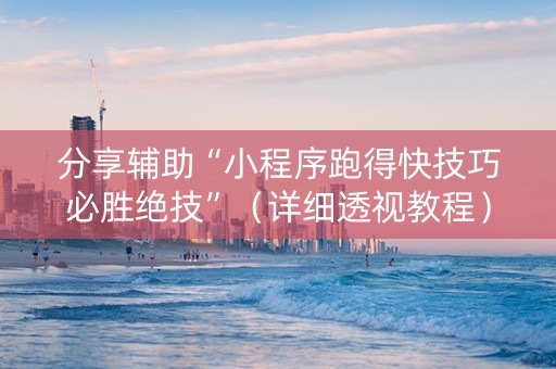 分享辅助“小程序跑得快技巧必胜绝技”（详细透视教程）-哔哩哔哩