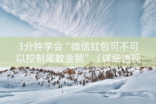 3分钟学会“微信红包可不可以控制尾数金额”（详细透视教程）-哔哩哔哩