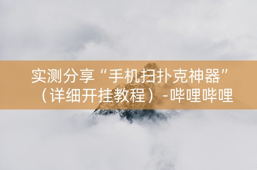 实测分享“手机扫扑克神器”（详细开挂教程）-哔哩哔哩