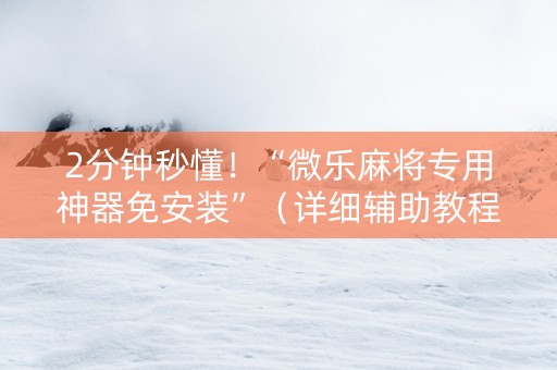 2分钟秒懂！“微乐麻将专用神器免安装”（详细辅助教程）-哔哩哔哩