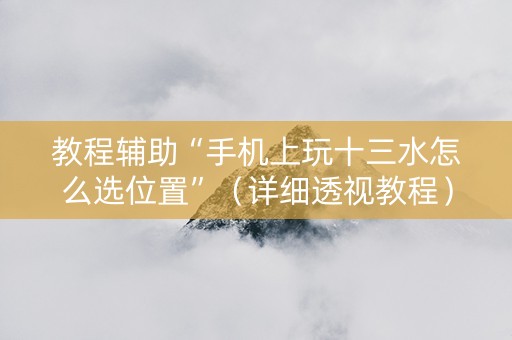 教程辅助“手机上玩十三水怎么选位置”（详细透视教程）-哔哩哔哩