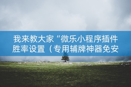 我来教大家“微乐小程序插件胜率设置（专用辅牌神器免安装）