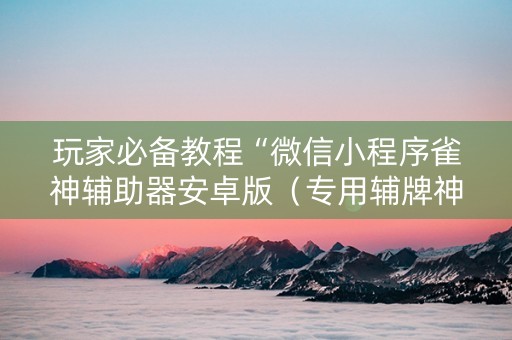 玩家必备教程“微信小程序雀神辅助器安卓版（专用辅牌神器免安装）