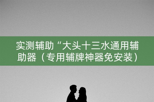 实测辅助“大头十三水通用辅助器（专用辅牌神器免安装）