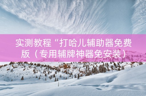 实测教程“打哈儿辅助器免费版（专用辅牌神器免安装）