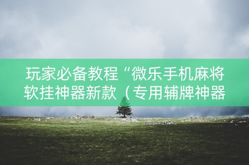 玩家必备教程“微乐手机麻将软挂神器新款（专用辅牌神器免安装）