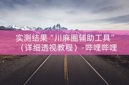 实测结果“川麻圈辅助工具”（详细透视教程）-哔哩哔哩