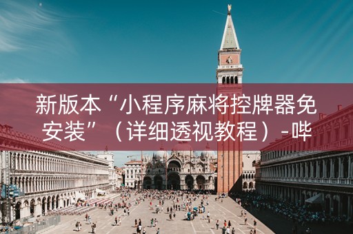 新版本“小程序麻将控牌器免安装”（详细透视教程）-哔哩哔哩